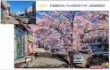  綠美延吉｜新春添綠意 50條街路煥新顏